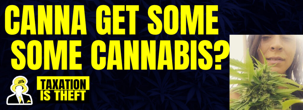 cannabis